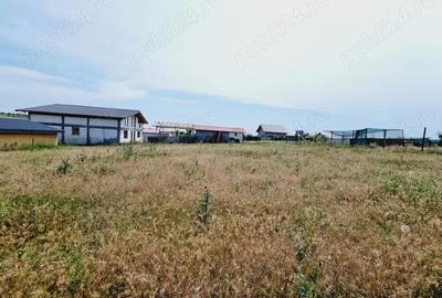 Teren de 873 mp, în Vânători - 5
