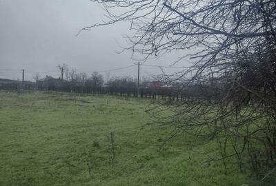 Teren de 2205 mp, în Cocora - 3