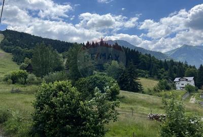 BORSA, MARAMURES -TEREN PENTRU PENSIUNE - 13