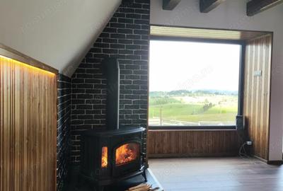 Vand cabana tip A in Mari?el, Cluj - 10