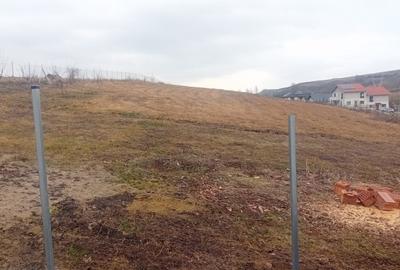 Teren Construcții intravilan de 700 mp, în Popești