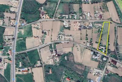 Casă cu Teren 3447 Mp în Satu Nou - 1