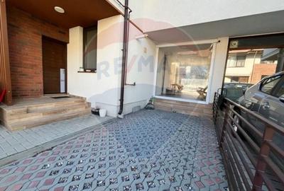 Inchiriere Vila cu 4 camere in zona Matei Millo - 20