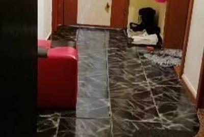 Vand apartament 3 camere Calea Bucuresti - 2