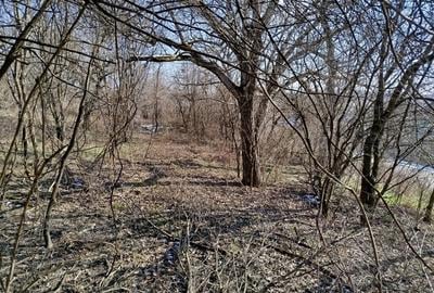 Vand Casa-Conac in Zgribesti -Timis - 9