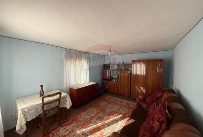 Casa de vanzare Almaj , sat Bogea  4505 mp teren- Negociabil - 11