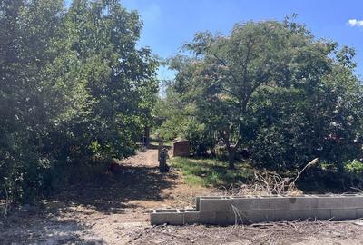 Casă cu 4 camere în Lipova - 4