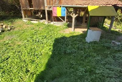 Casă cu 2 camere cu Teren 1000 Mp în Comana - 5