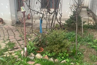 Casa  Pipera  135 000eur - 2