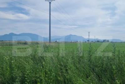 Teren de 1203 mp, în Hărman - 5