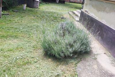 Casă cu 3 camere în Central - 2