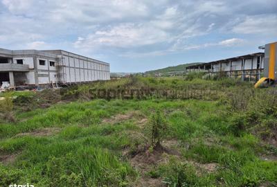 Spațiu comercial, în Cuza Vodă - 7