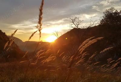 Teren de 8500 mp, în Hărțăgani - 2