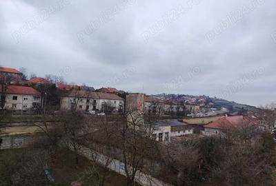 Apartament cu 3 camere decomandat în Central - 3