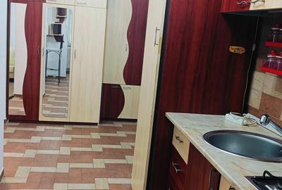 Apartament 2 camere Podu de Fier - Prof. Paul - 5