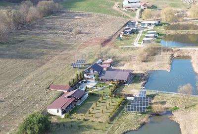 Teren de 7000 mp, în Hoghilag - 11