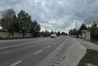 REL4001052 Teren de vanzare Domnesti - 6