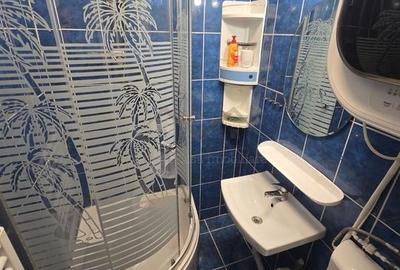 Garsoniera Tudor Vladimirescu etajul 2/ 4 - 2