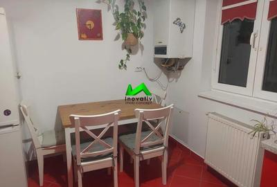 Apartament de inchiriat 2 camere Terezian - 6