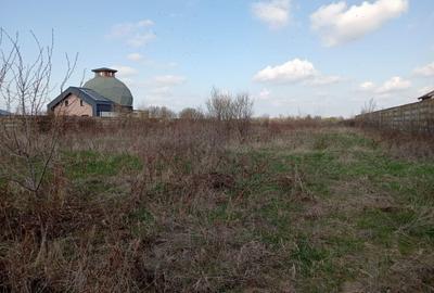 Teren intravilan de 4635 mp, în Buftea - 12