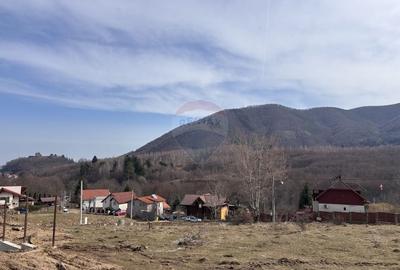 Teren Construcții intravilan de 1697 mp, în Cisnădioara - 3