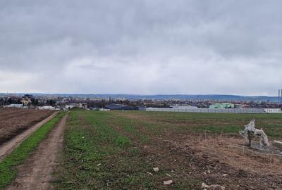 Teren 10,000mp Bacau / Strada Alexandru Safran - 6