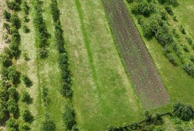 Spațiu comercial, în Rusu Bârgăului - 3