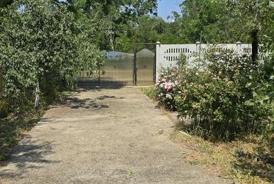 Teren si casa batraneasca - 8
