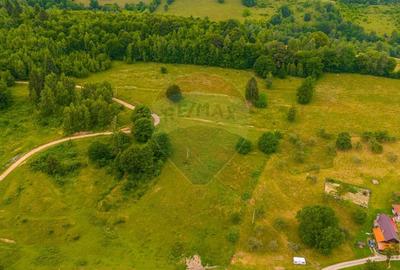 Teren Parcul National Bucegi/Str Glajarie Rau Mare/Panicel/Sohodol - 8