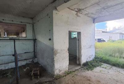 Teren de 5000 mp, în Remetea Mare - 2