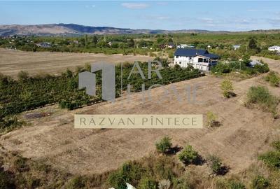 Pensiune 6 camere, teren 12713 mp, Dealul Mare, Urlati, Prahova - 1