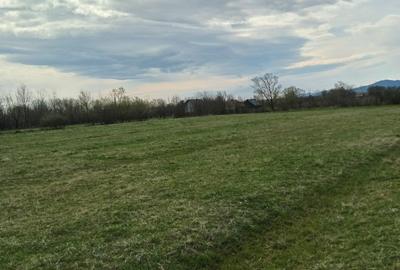 Spațiu comercial, în Vicovu de Sus - 5