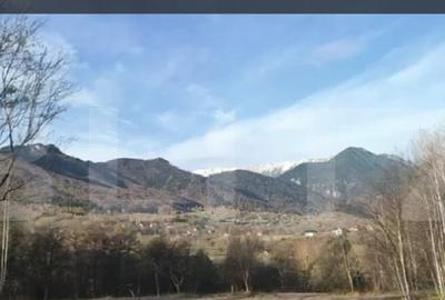 Teren intravilan zona deosebita in Zarnesti - 1