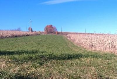 Teren, loc de casa 1800 mp - 4