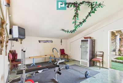 Proprietate multifunctionala central Arad - 15