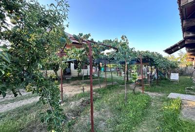 Casă cu 2 camere cu Teren 1000 Mp în Urechești - 6
