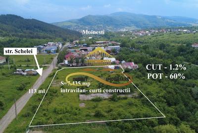 Teren pentru constructie hala indrustriala - Moinesti/Bacau