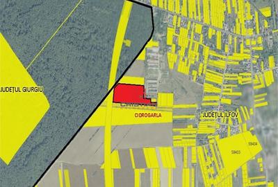 Teren Ciorogarla - A0- CAP, Ilfov - 3