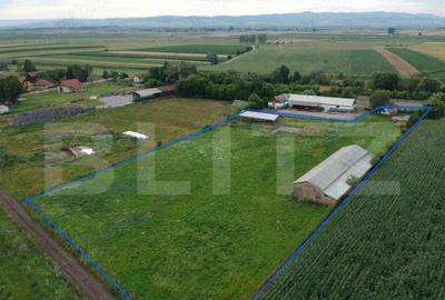 Teren de 12000 mp, în Central - 2