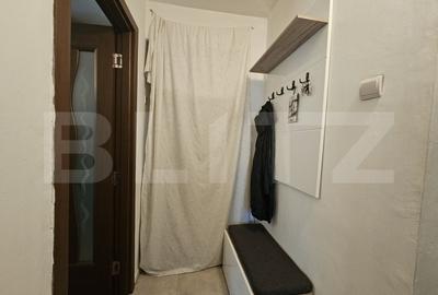 Apartament cu 2 camere nedecomandat, mobilat în Podul de Piatră - 6