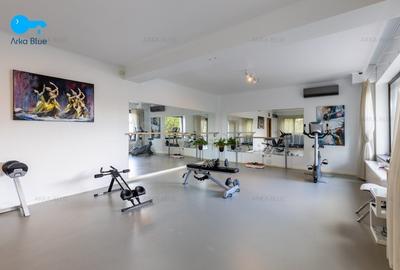 Imobil modern-Domenii, Casin - birouri, clinica, parcare subterana - 20