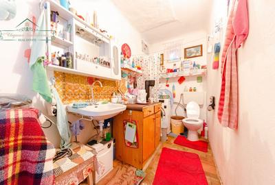 Casa cu 2 camere si 900 mp teren, zona Subcetate, Arad - 5