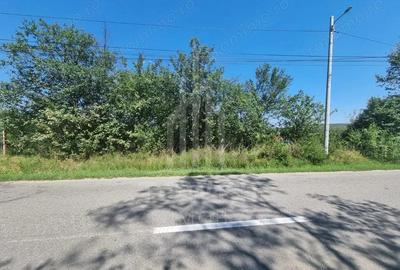 EXCLUSIVITATE! Teren la ?oseaua principala | Tocile - 1