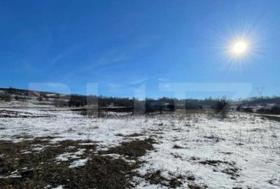 Teren extravilan, 5.400 mp, intrare Rada?eni - 2