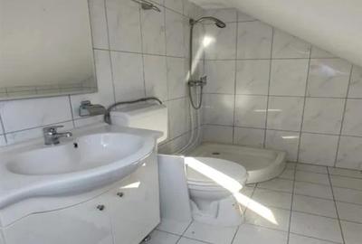 Casa P+M cu teren generos si loturi suplimentare in Baia de Cris Casa P+M cu teren generos si loturi suplimentare in Baia de Cris - 13