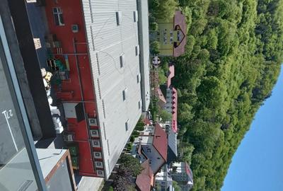 Apartament cu 2 camere decomandat în Căciulata - 1