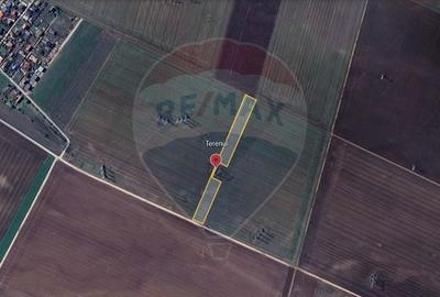 Spațiu comercial, în Sânpetru - 4