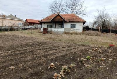 Casă cu 3 camere cu Teren 2394 Mp în Fărcășești - 4
