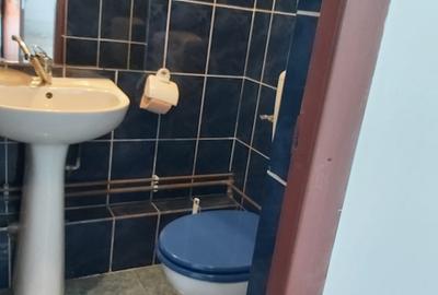 Spatiu Comercial Sibiu - 20