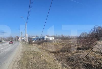 Teren intravilan, 3500 mp, pozitie strategica, Deva - 2